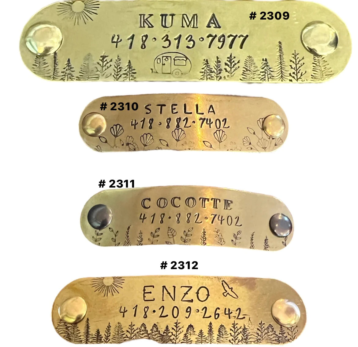 Plaque d'identification + Collier biothane 1po