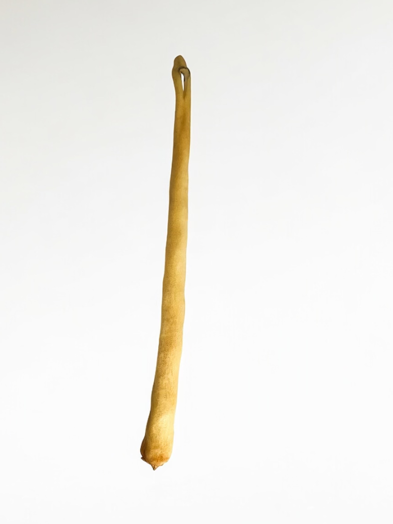 8"-12" Queu de boeuf
