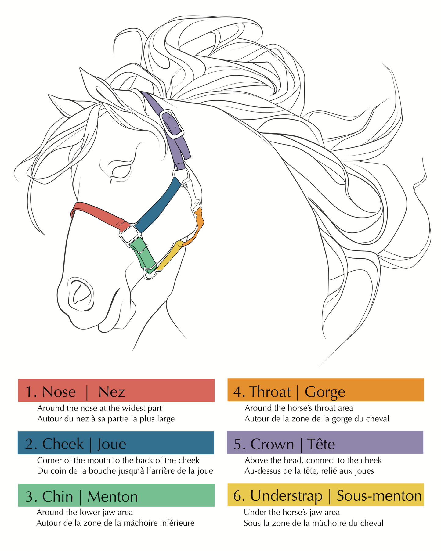 Licou avec motifs