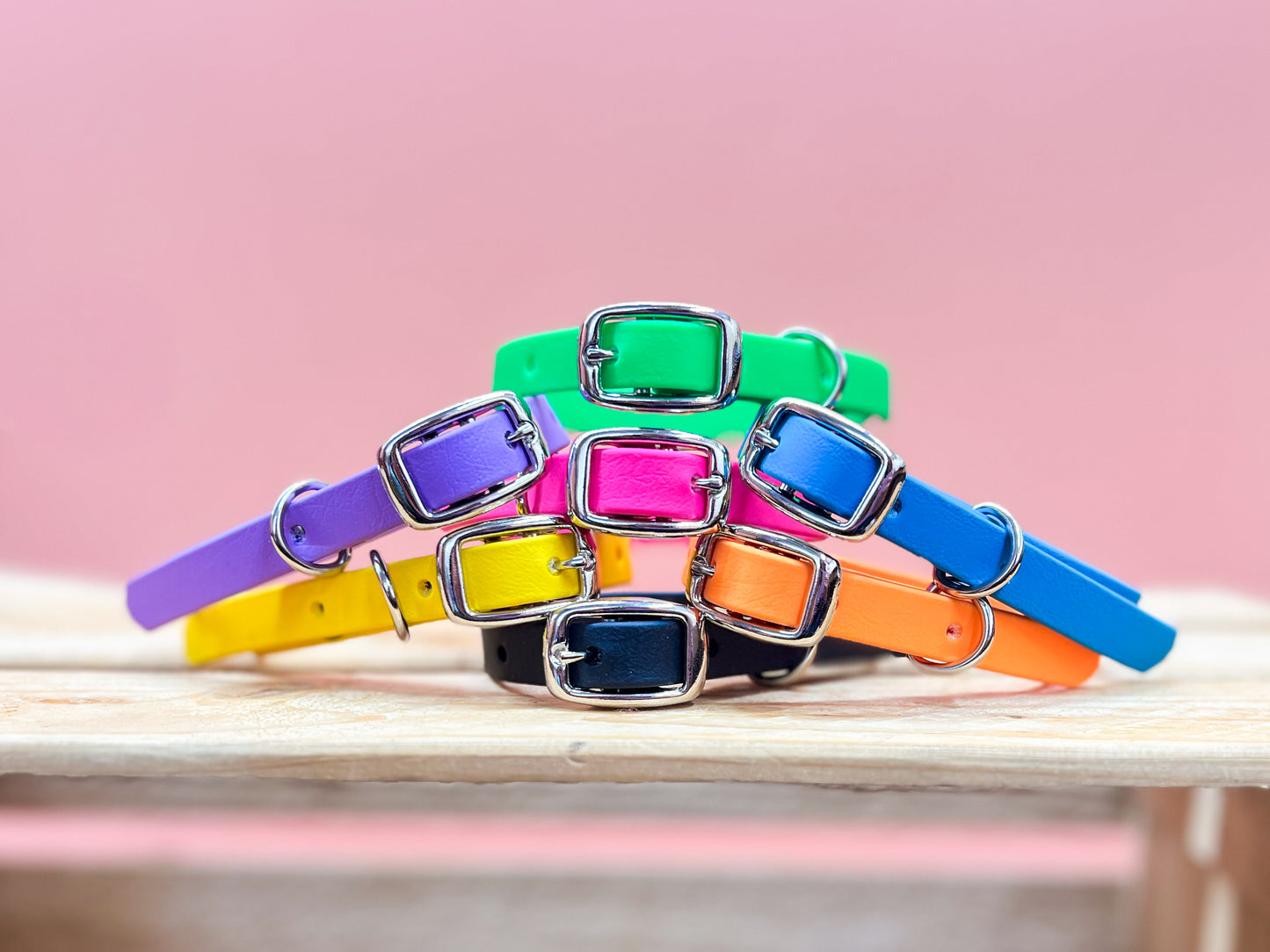 Collier 1/2po pour chat ou petit chien