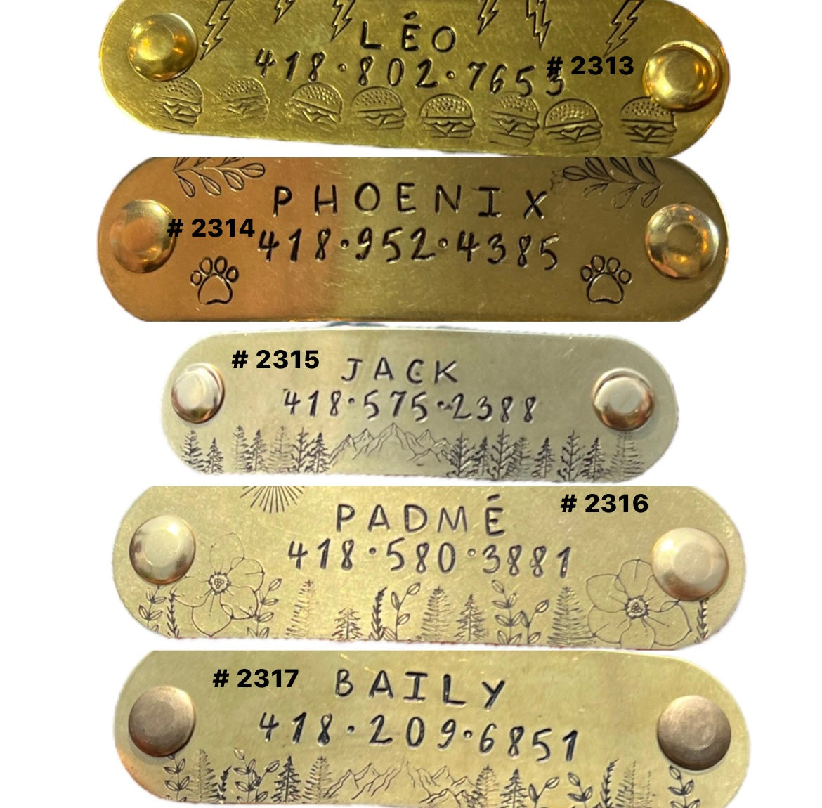 Plaque identification + Collier biothane 5/8po