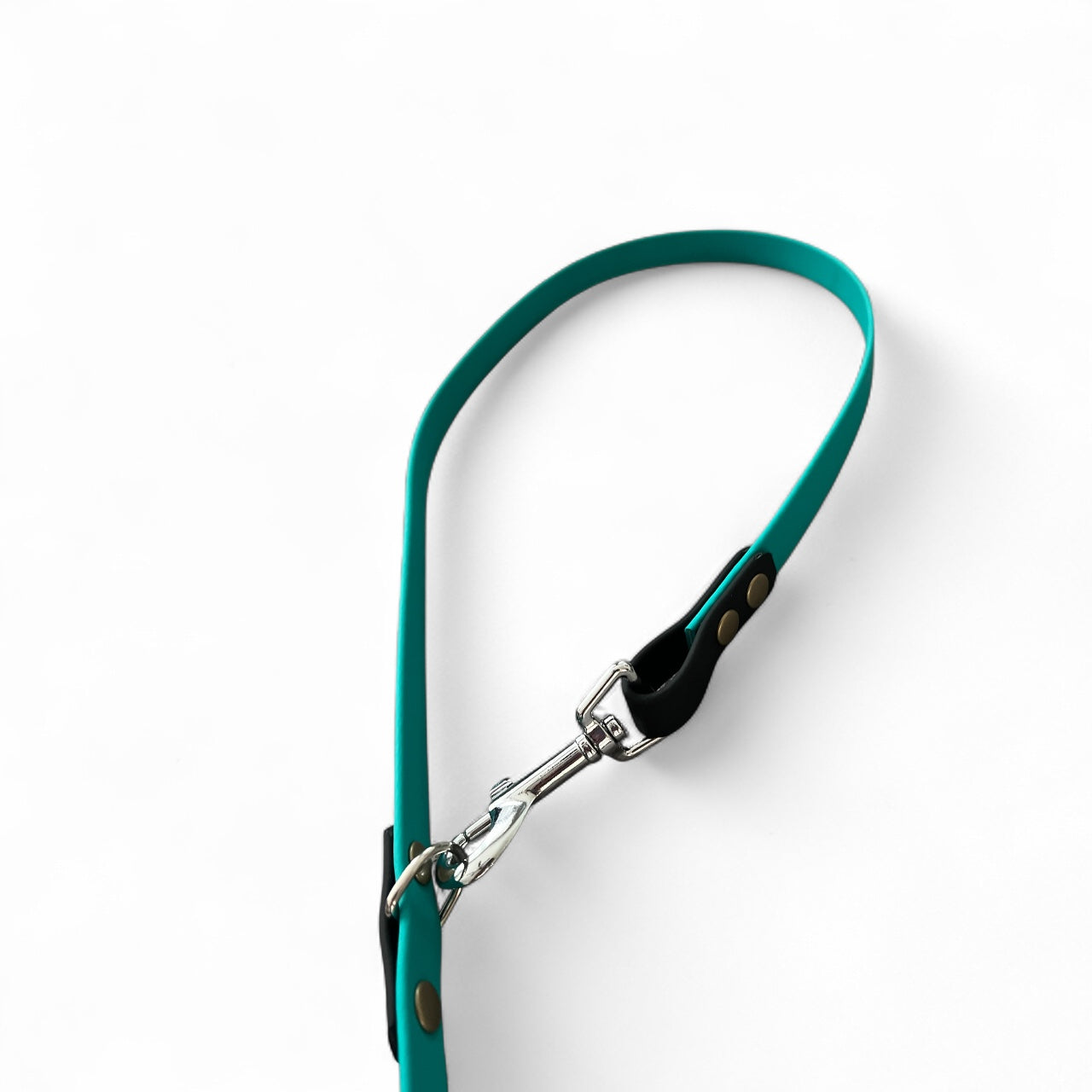 Laisse multi-fonctions