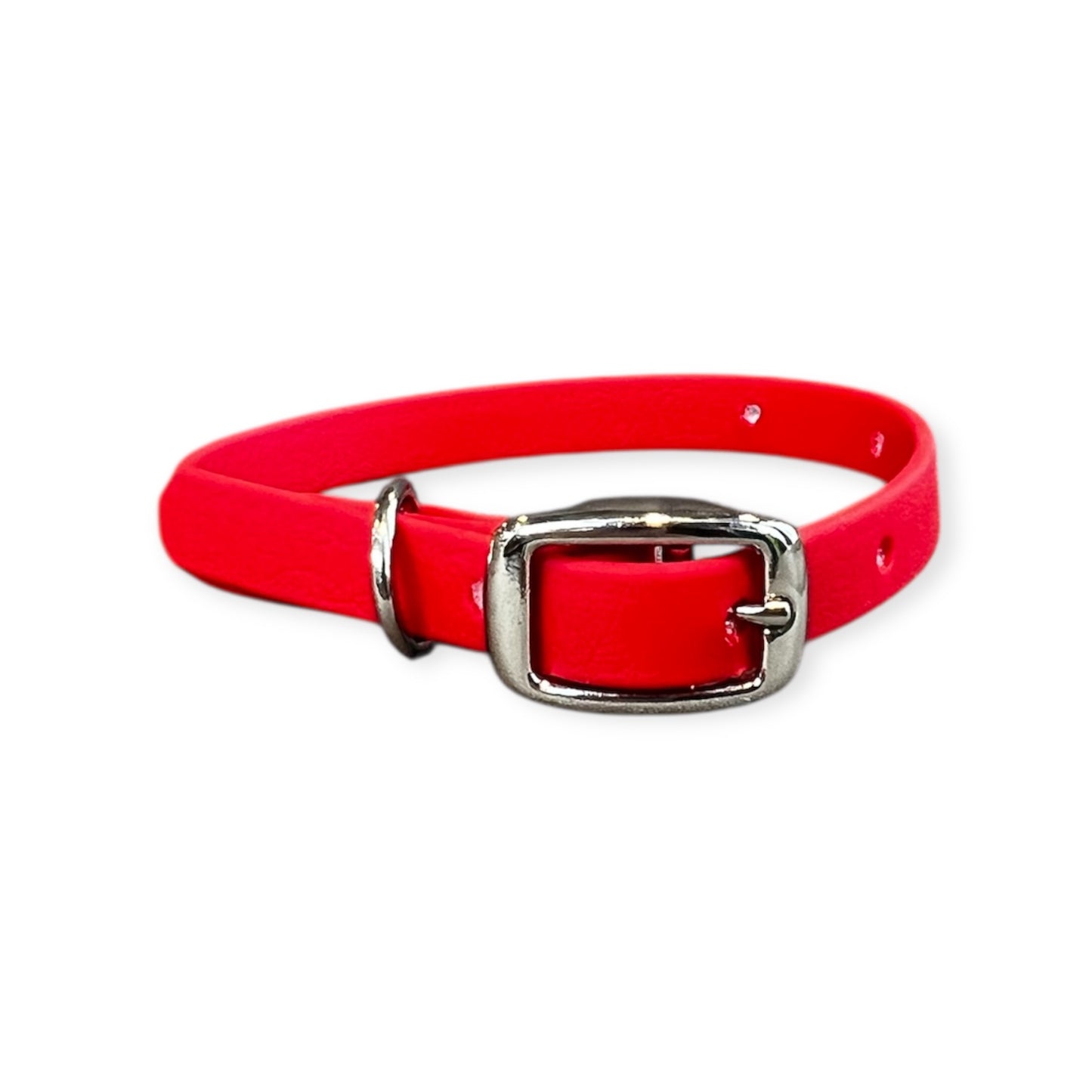 Collier 1/2po pour chat ou petit chien