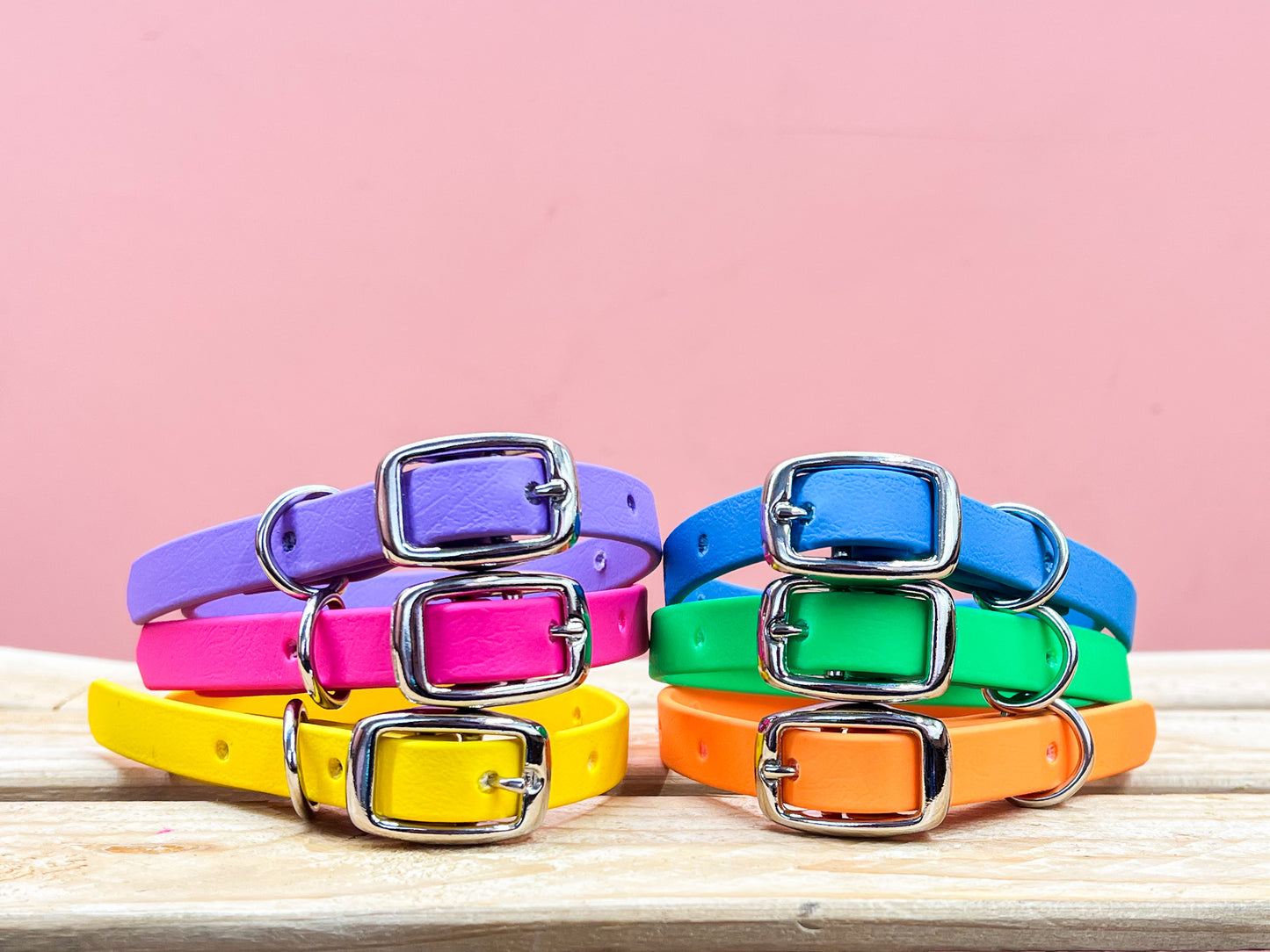 Collier 1/2po pour chat ou petit chien