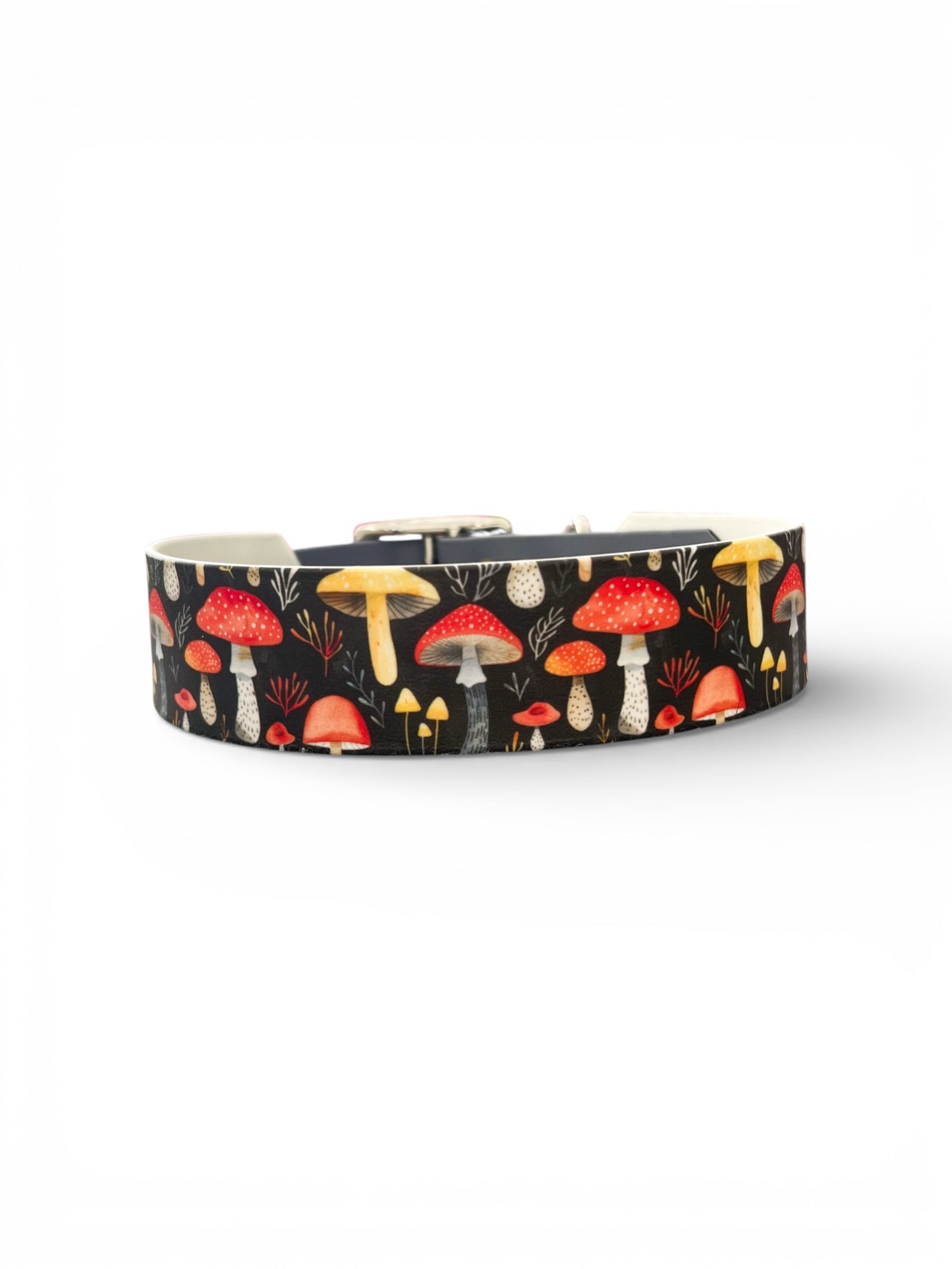 Champignons