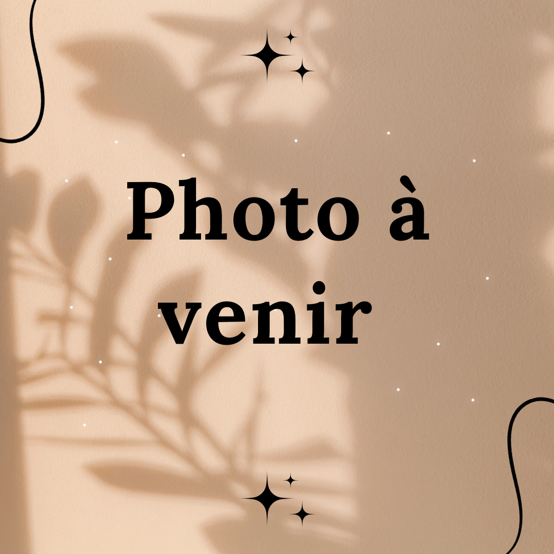 Laisse multi-fonctions