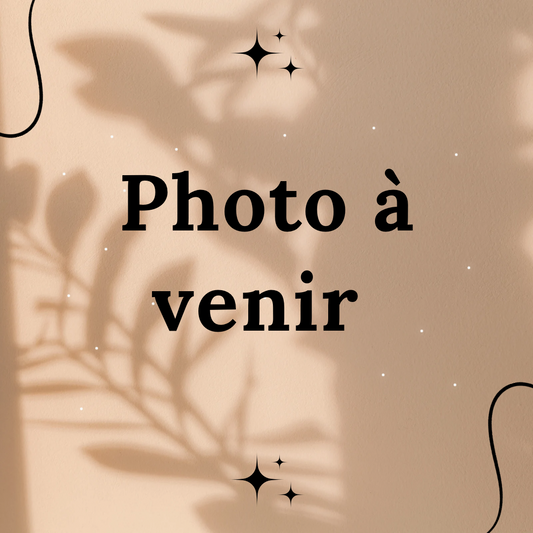 Laisse multi-fonctions