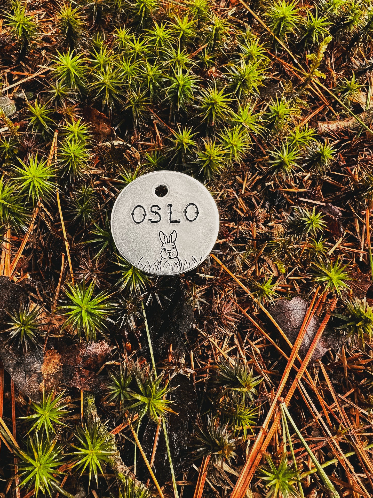 OSLO