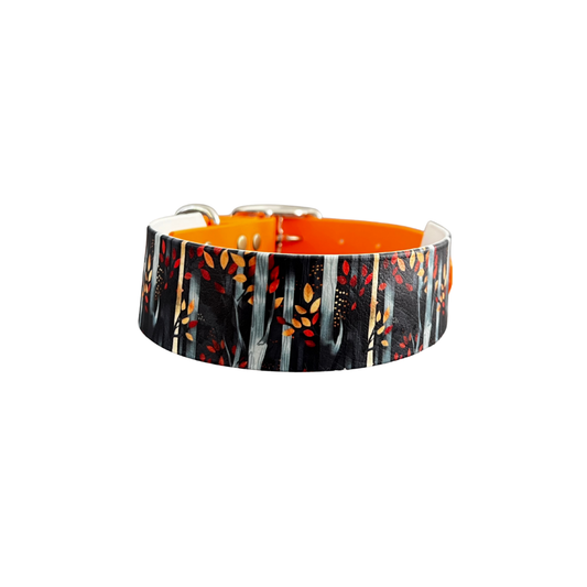 Forêt Orange