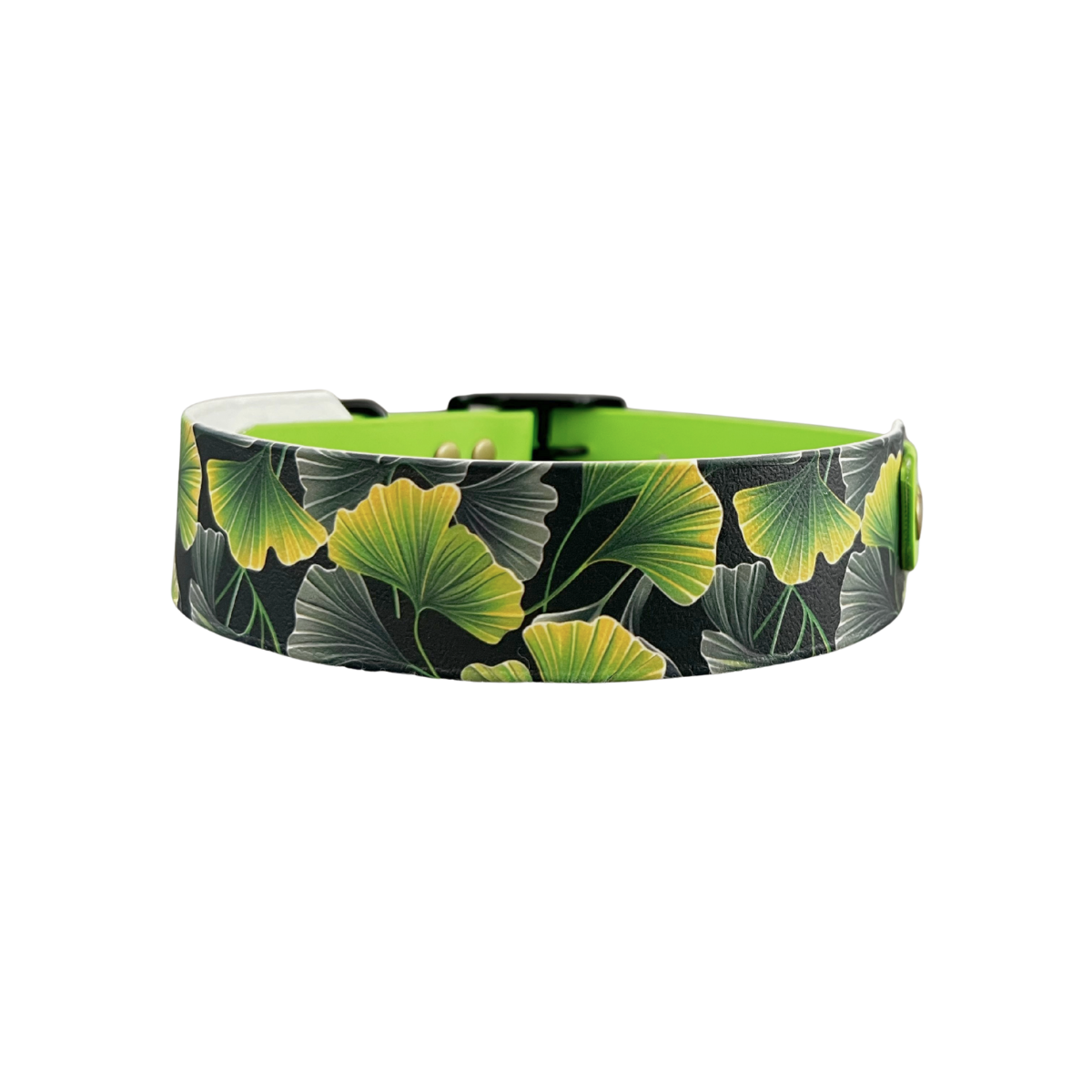 Ginkgo