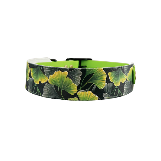 Ginkgo