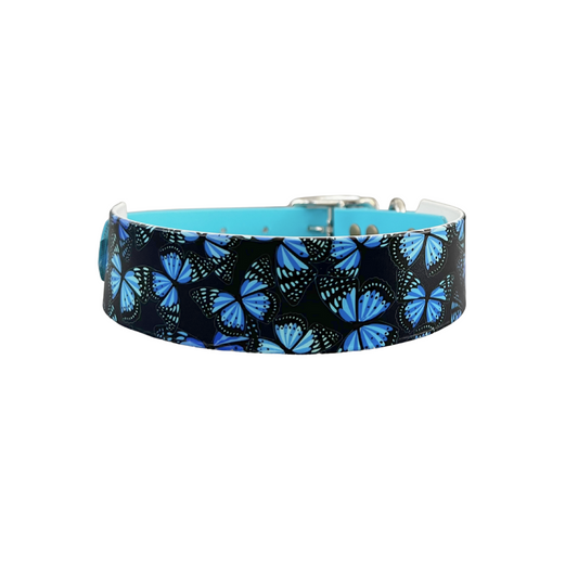 Papillon bleu