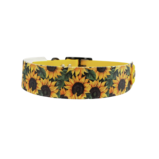 Tournesol