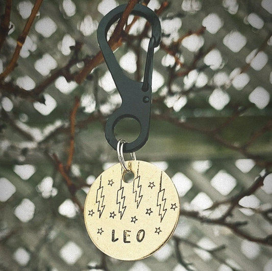 LEO